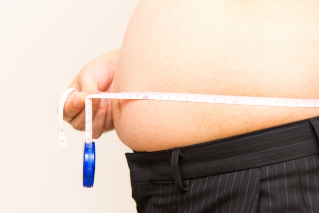 太るための基礎知識　内臓脂肪と皮下脂肪の違いやそれぞれの特徴とは？